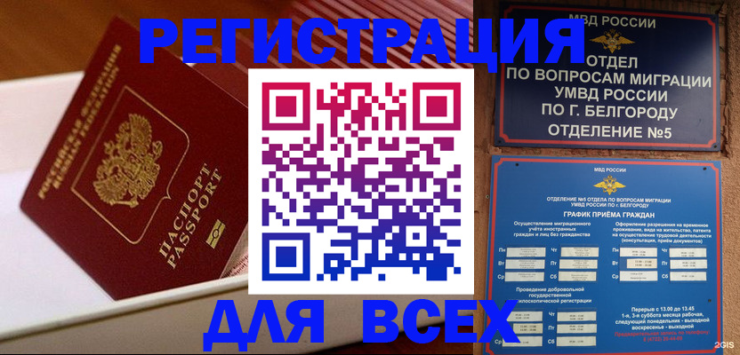 временная регистрация в Заинске